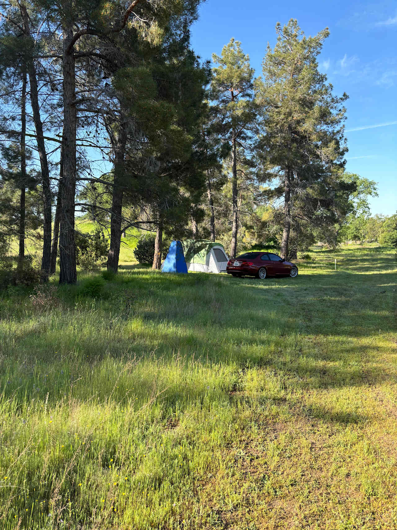 Ace's Yosemite Hide Out