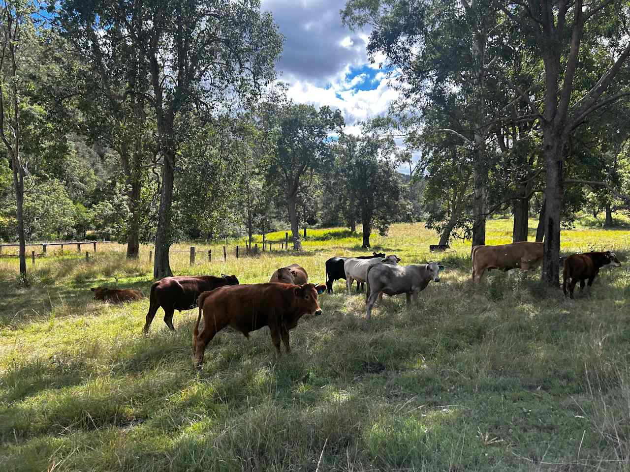 On the Clarence Camping