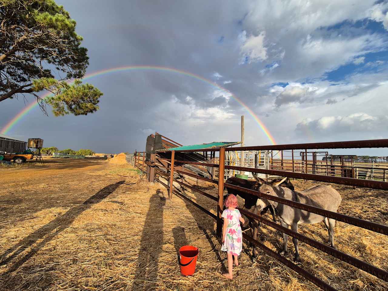 Nambung Station Stay