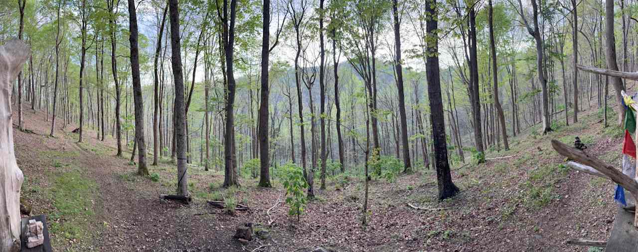 Beech Hollow Hideout