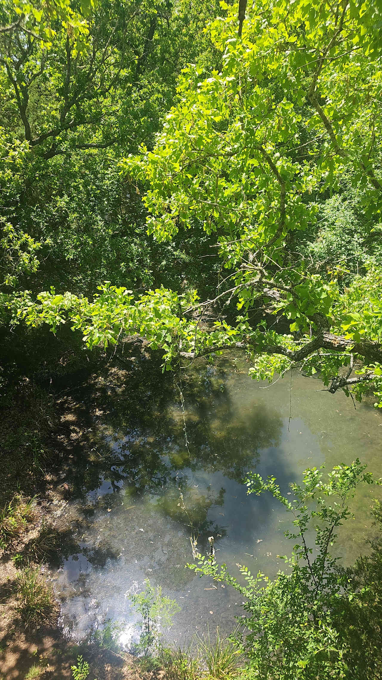 View from the top balcony 