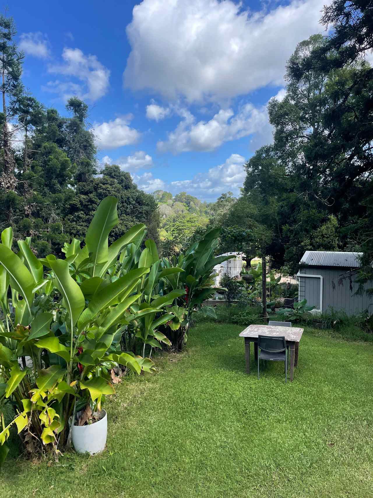 View from Goat Whispers Site