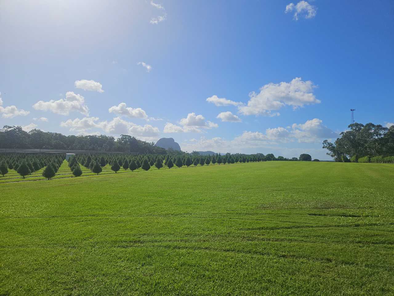 Mountain Country Farm Stay