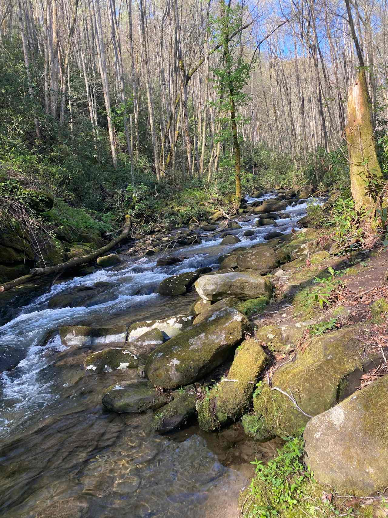 Mountain Creek Rest