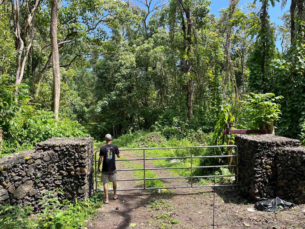 Untouched Hawaiian Land