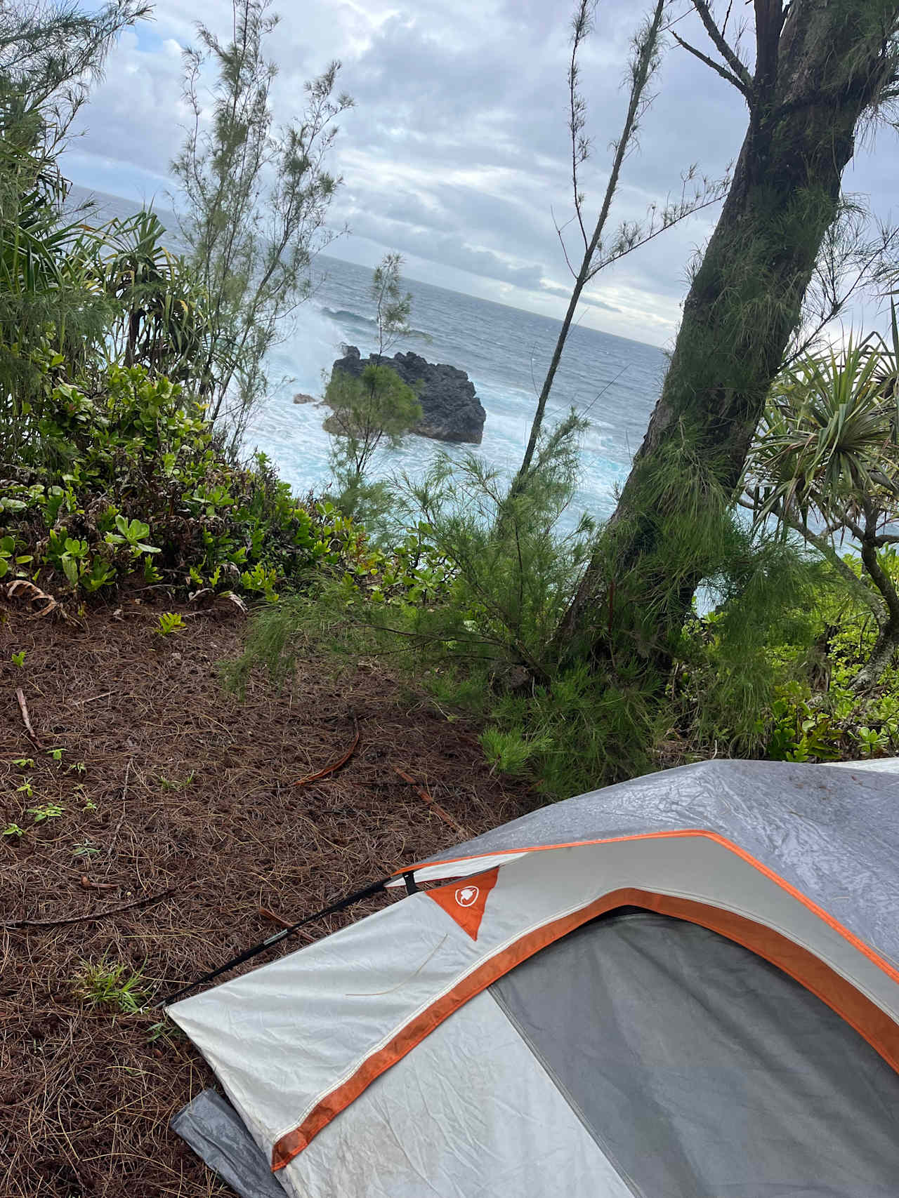 Untouched Hawaiian Land