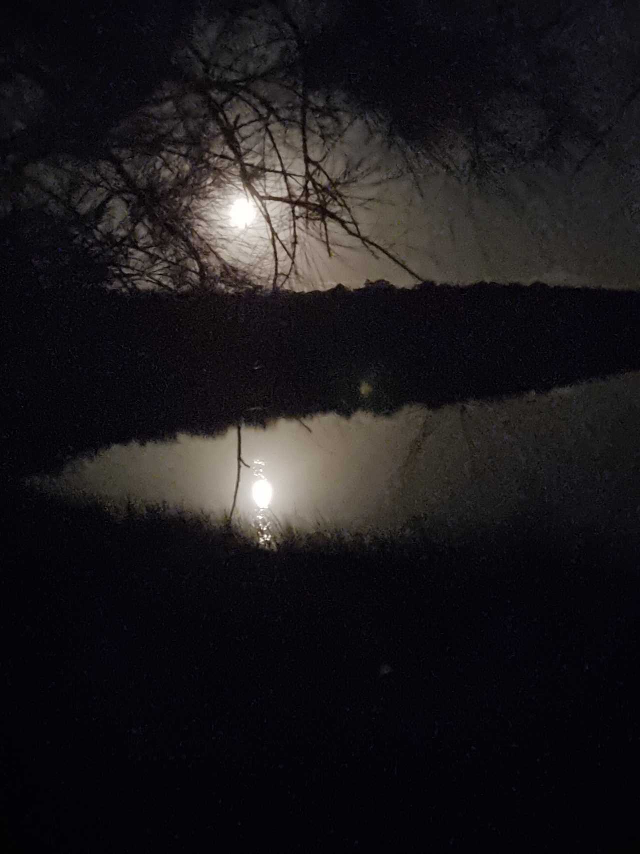 Moon above the river just out front.