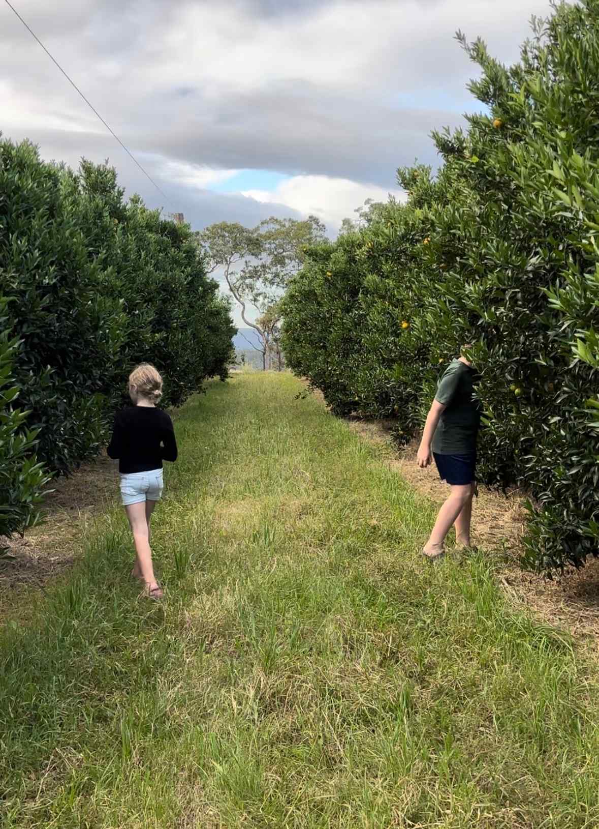 Canoelands Orchard Camping
