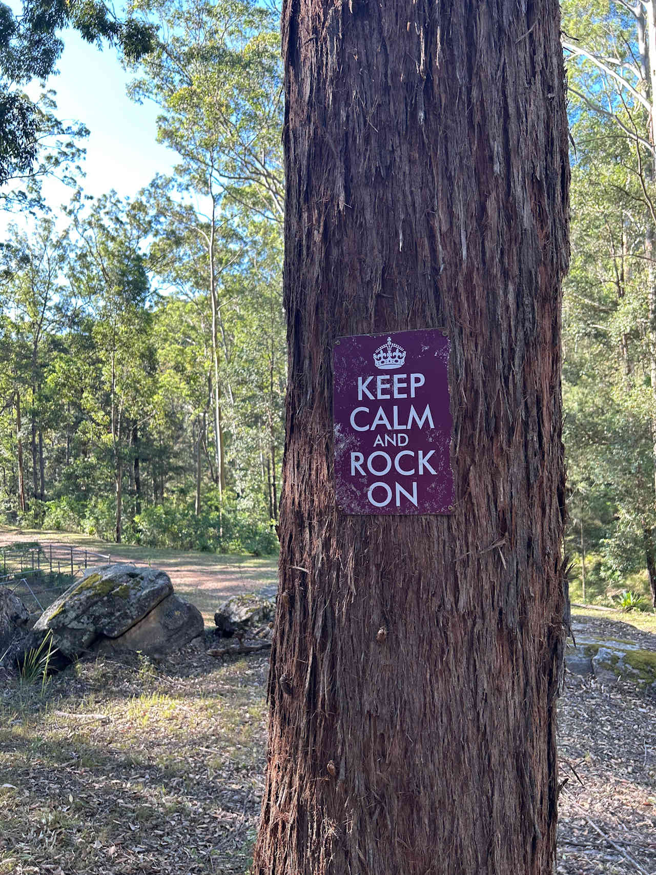 Rocky Forest Bush Retreat