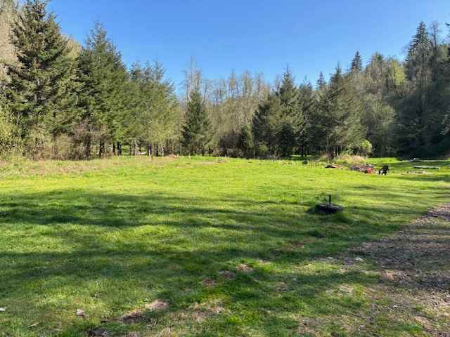 Lower large yard. More privacy when tucked back in against tree line