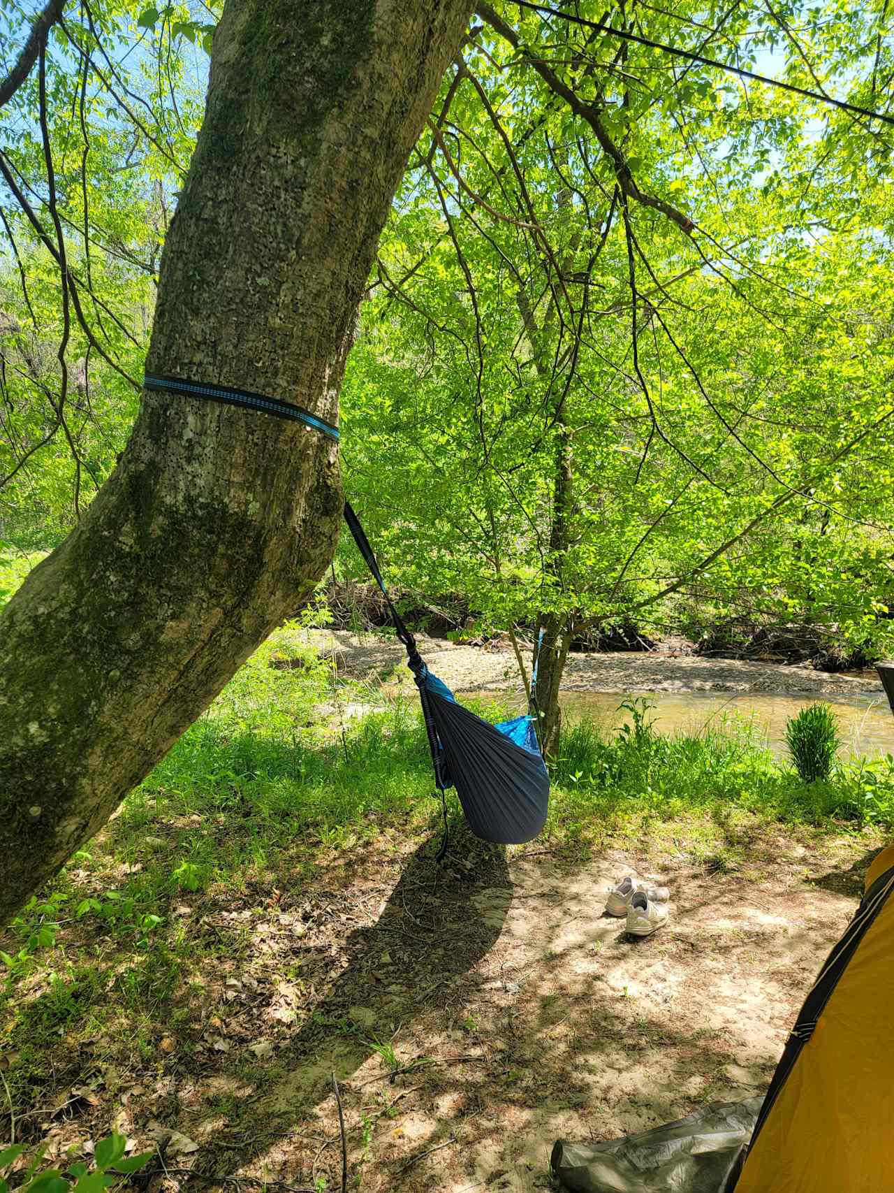 Best hammock spot