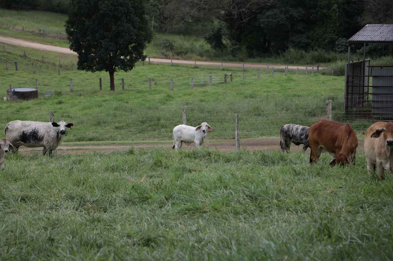 Barrine Farmstay And Camping