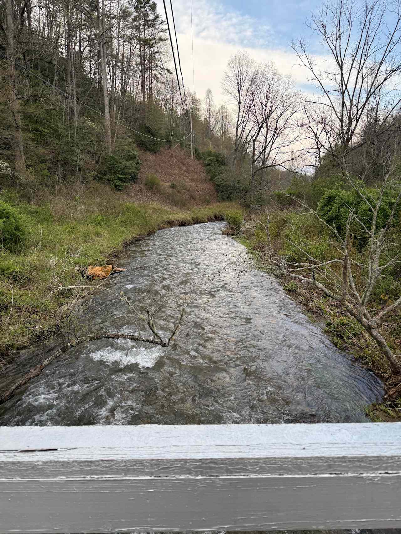 Conleys Creek Campground