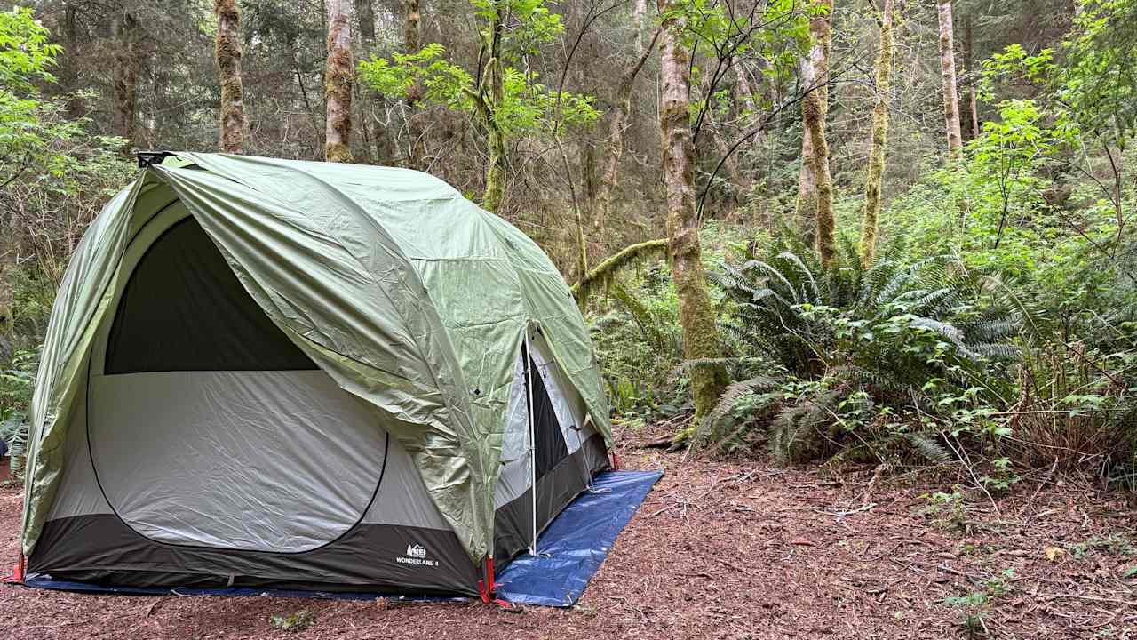 Mystic Forest Campground