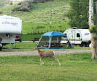 Prewett Creek RV Park and Campground
