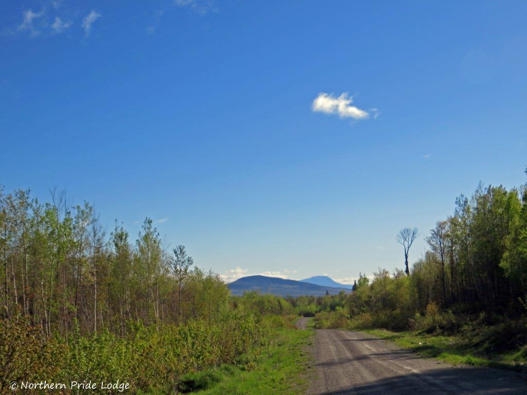 Northern Pride Lodge and Campground