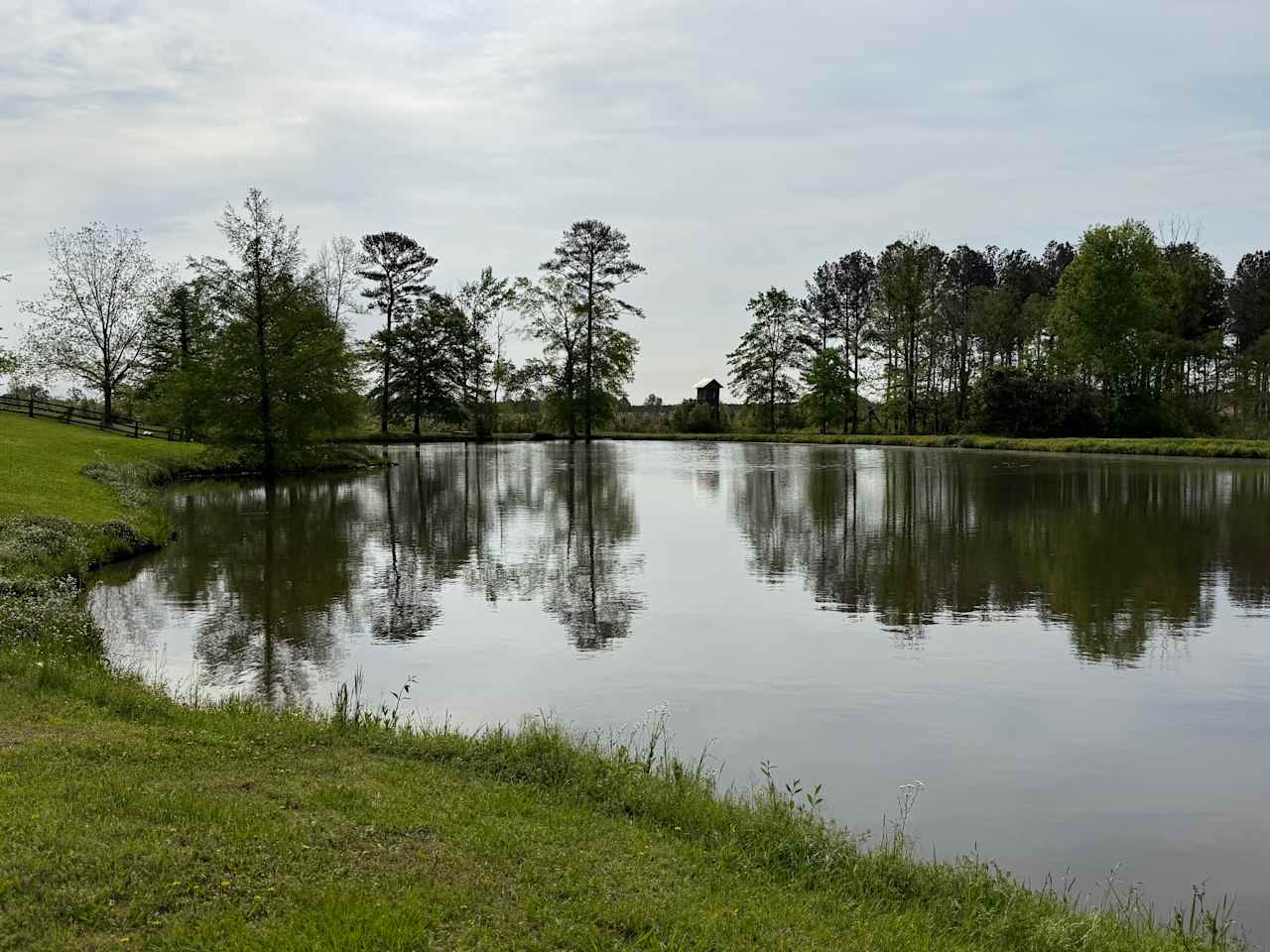 Rock Hill Campsite