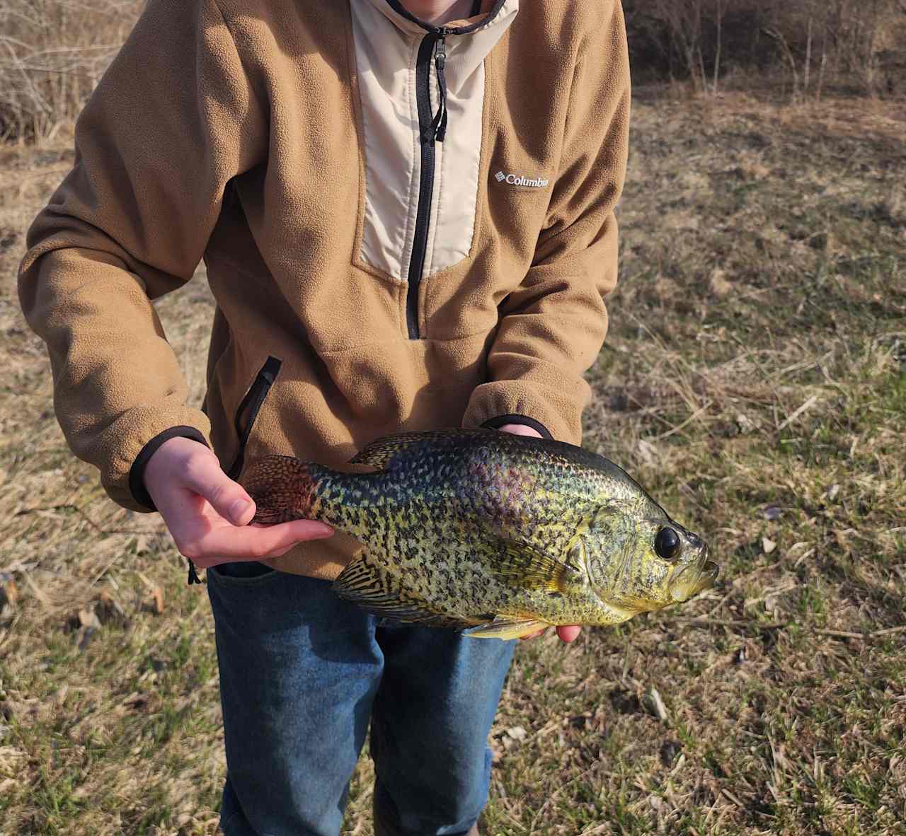 Big beautiful black crappie caught from the pond.