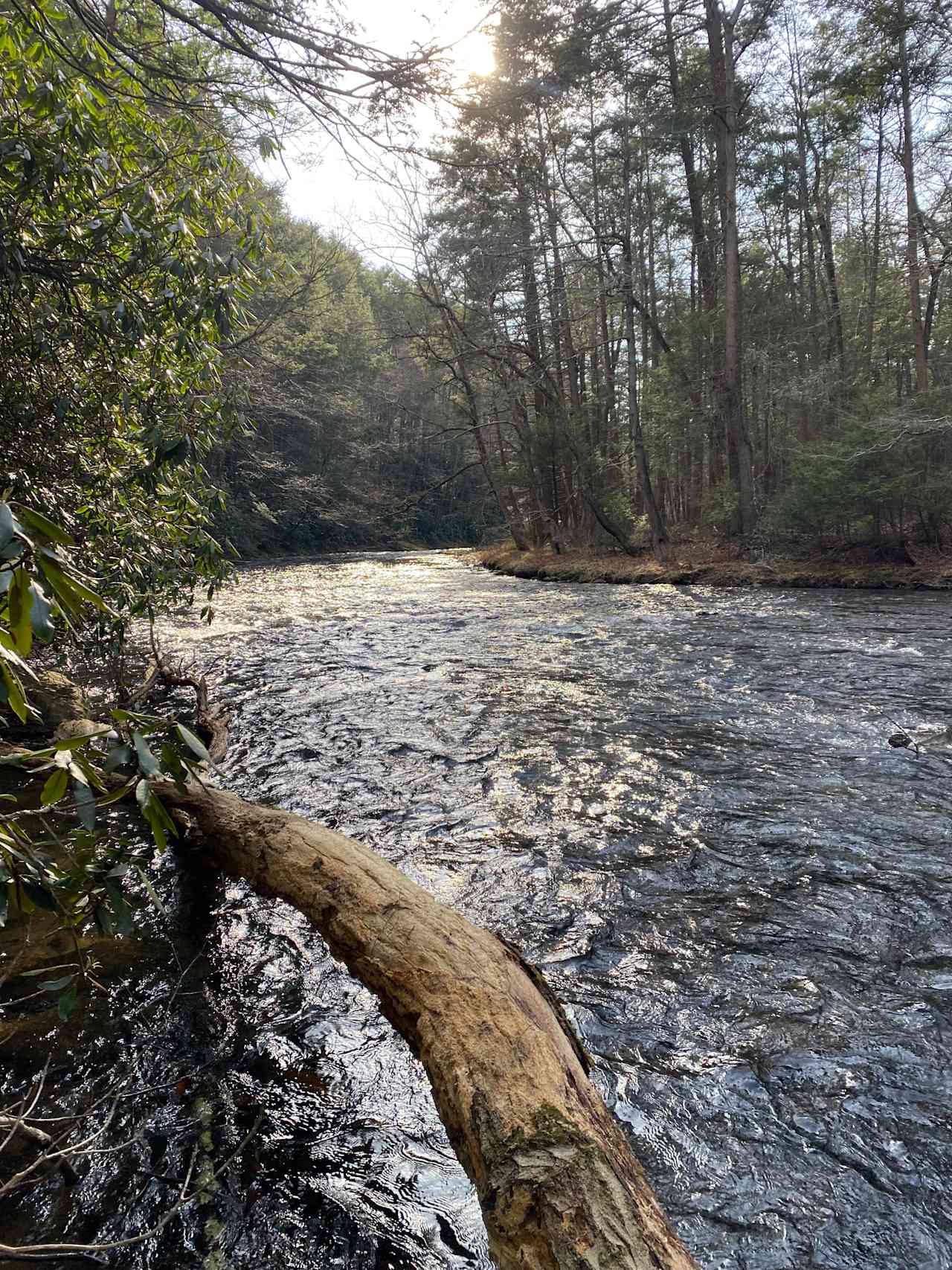 River Mountain Outdoors