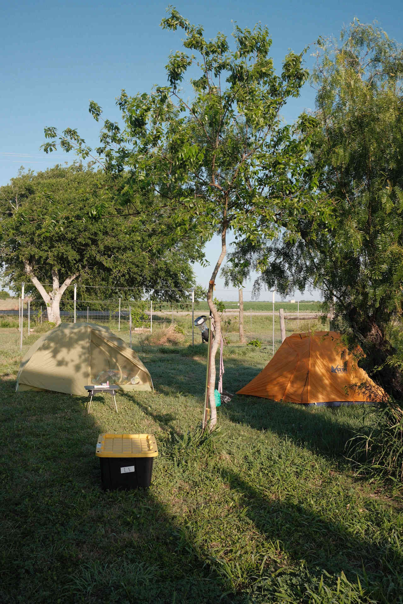 Freedom Harvest Farms