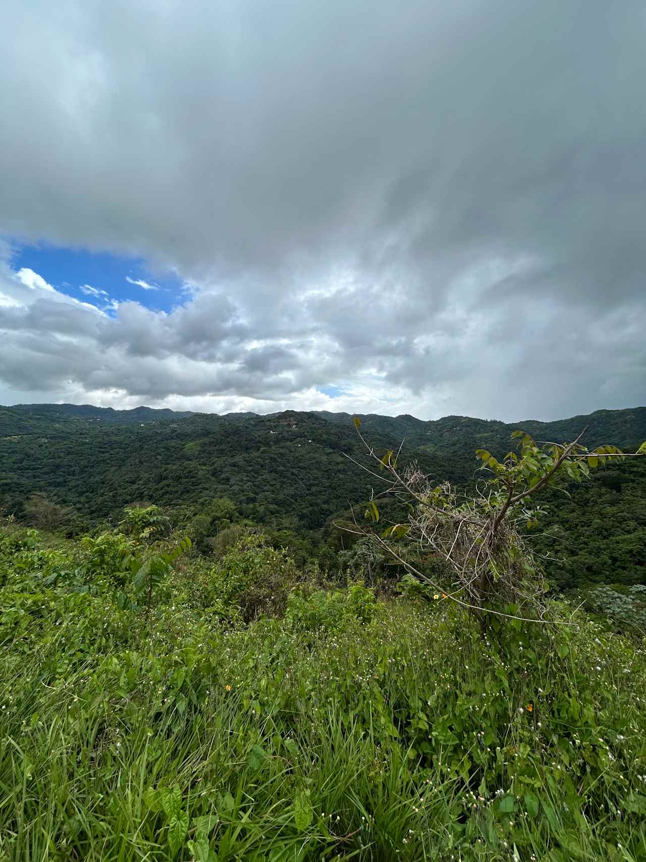 Finca Sajorí