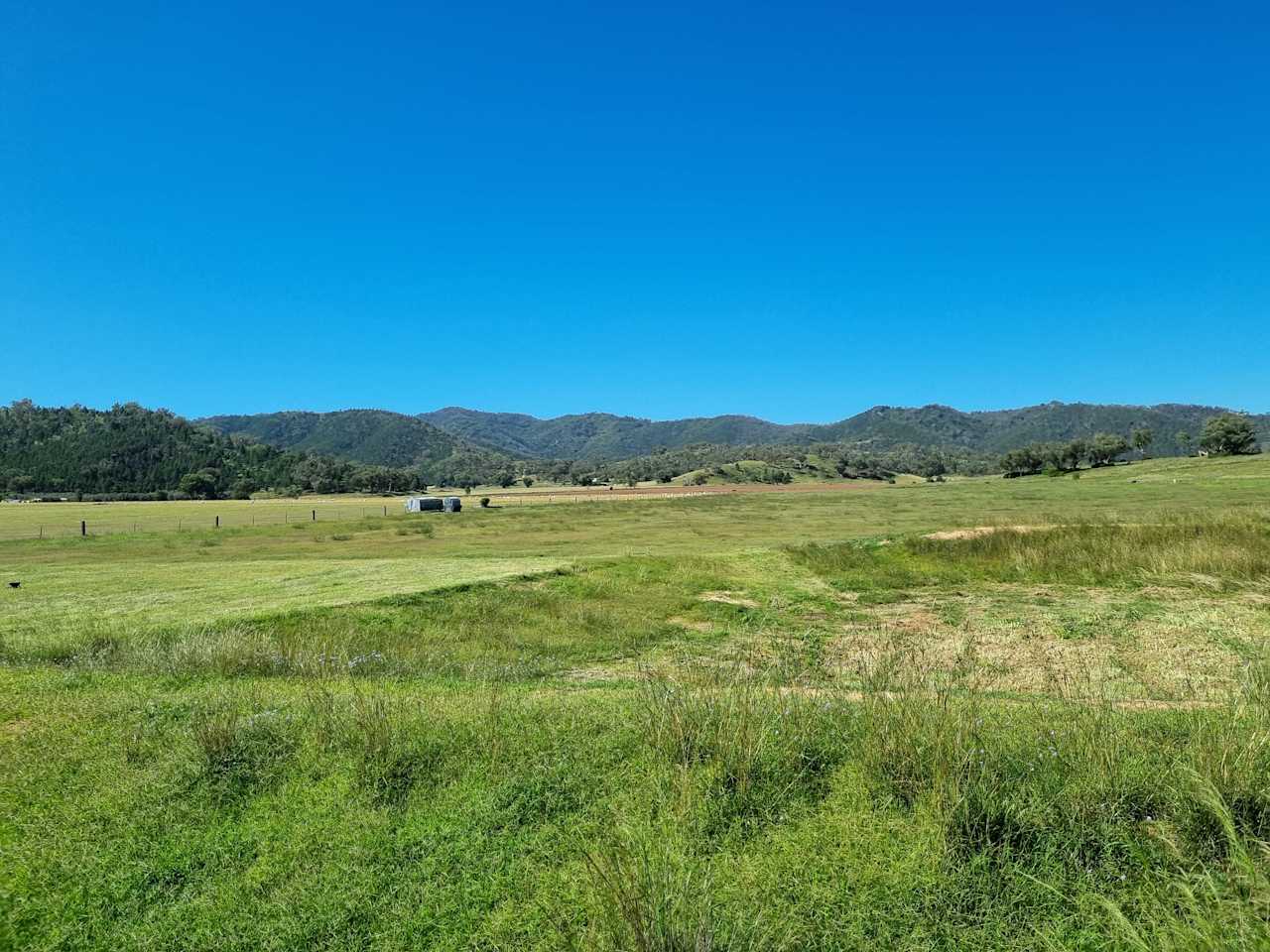 Balaka Farm