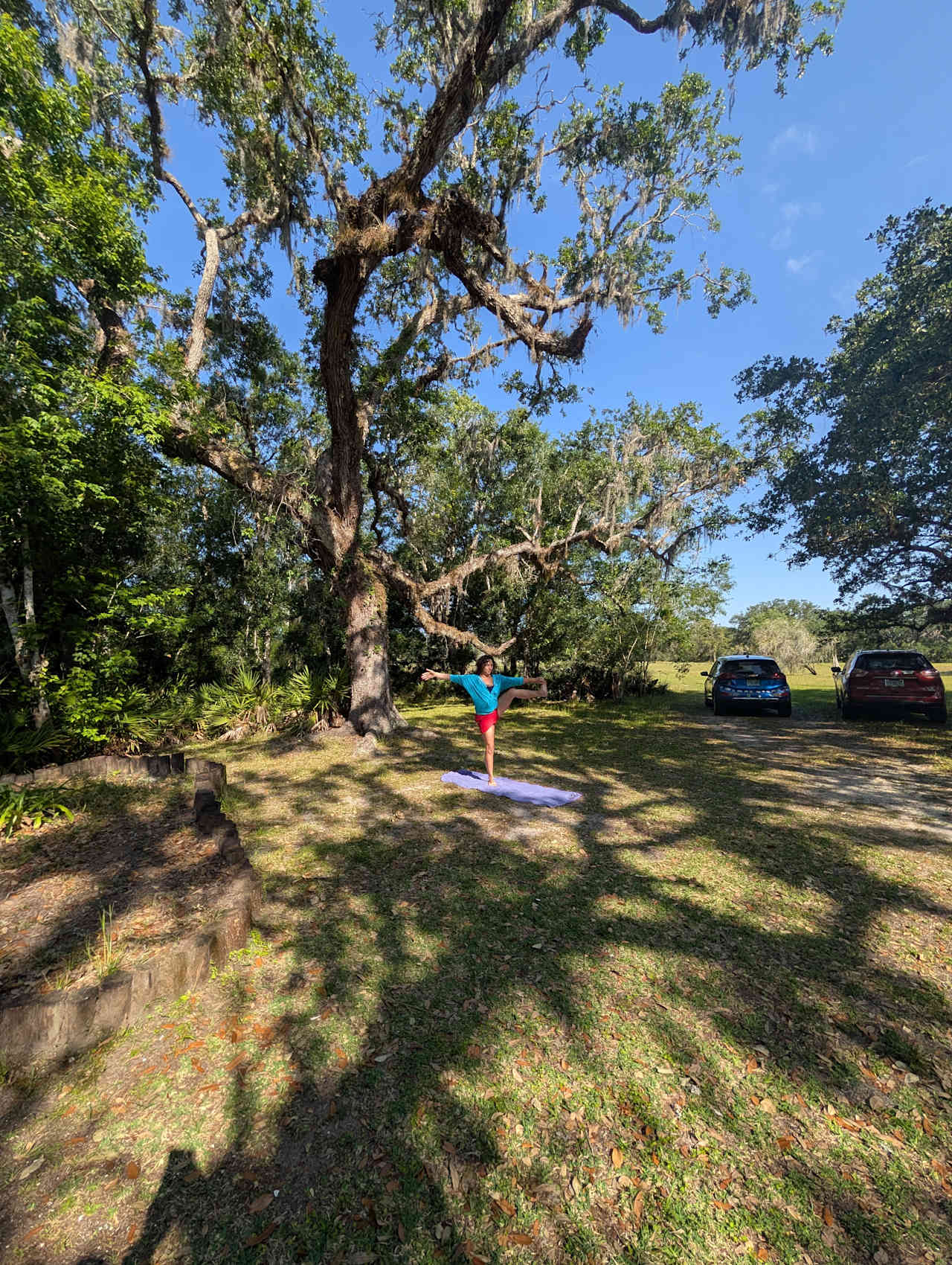 Yoga under the tree in morning sun 