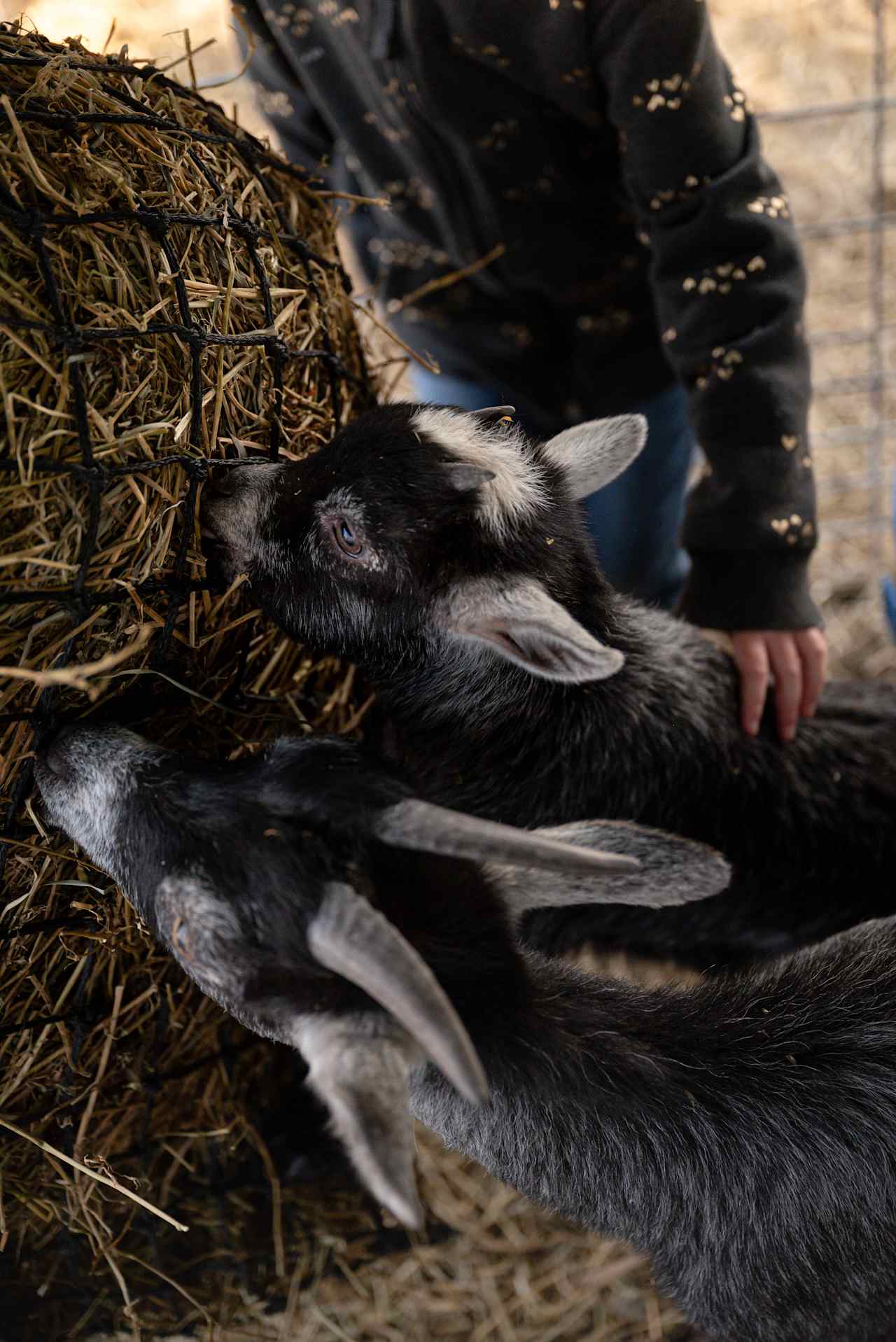 Pink River Ranch Farm-Stay