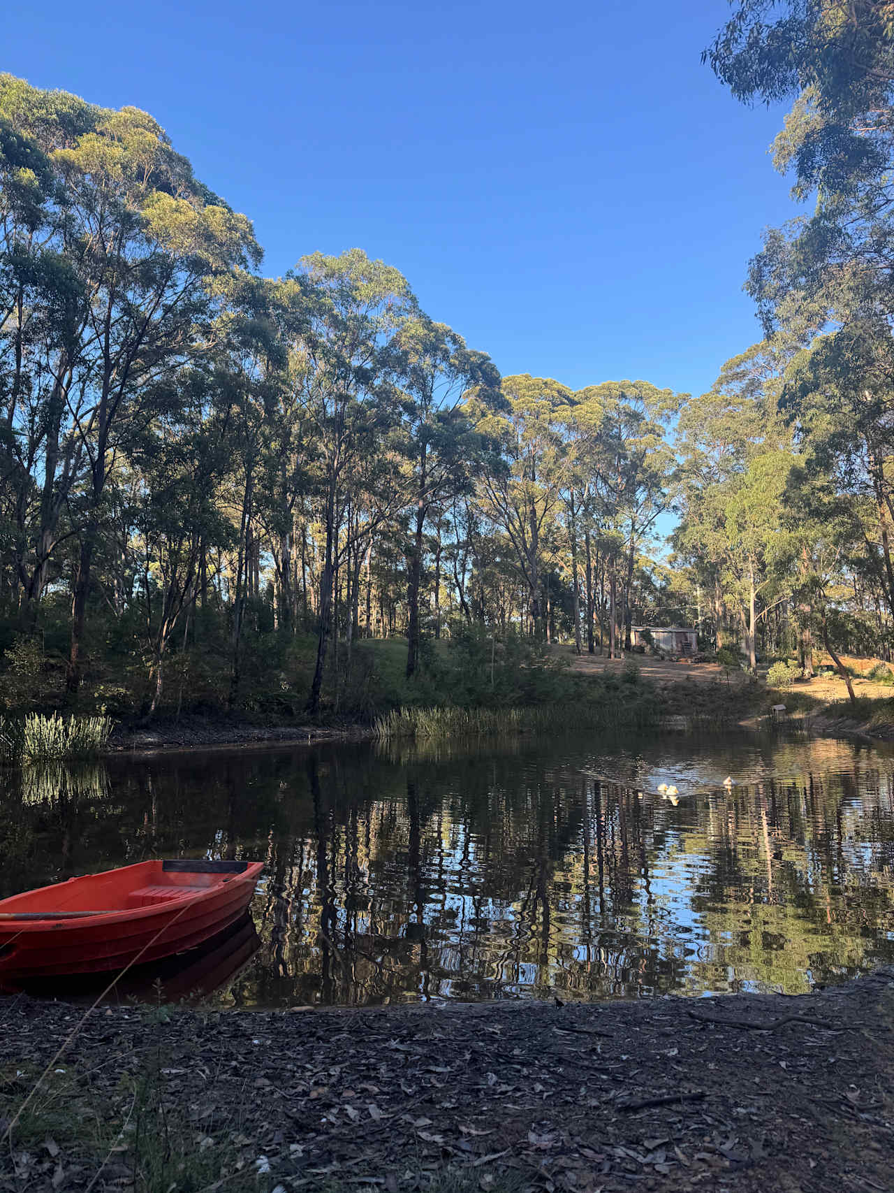 Mountain Lagoon Camping & Glamping