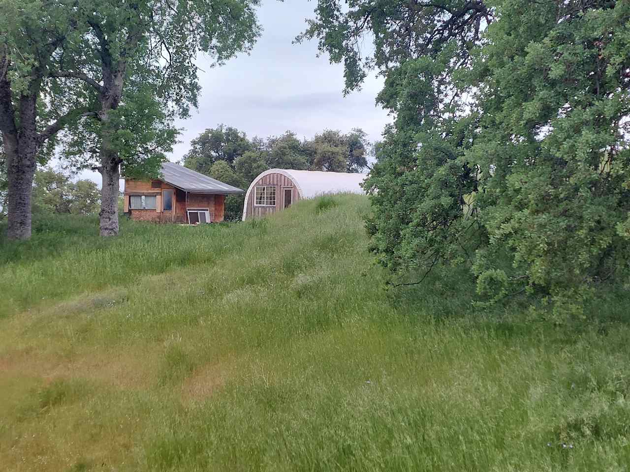 Wondernut Farm