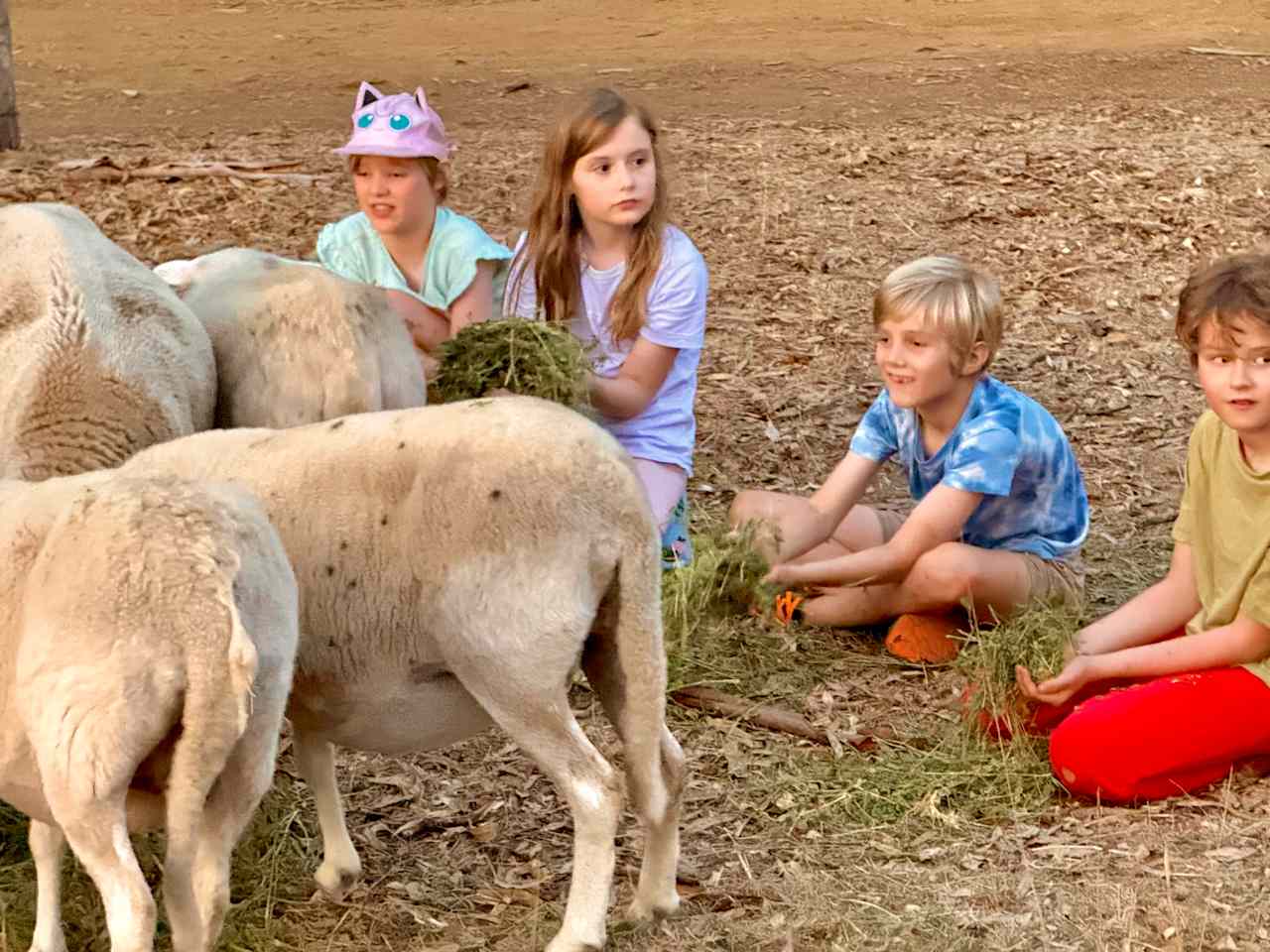 Sunset Rocks Farmstay