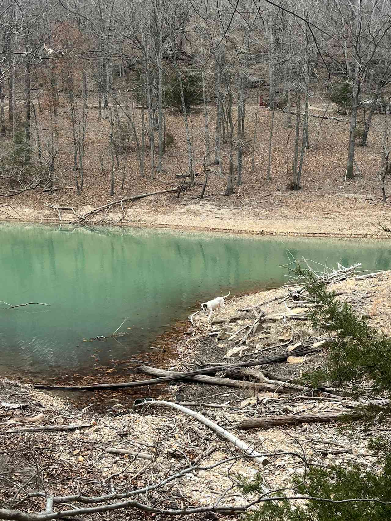 Ditchfield Cove