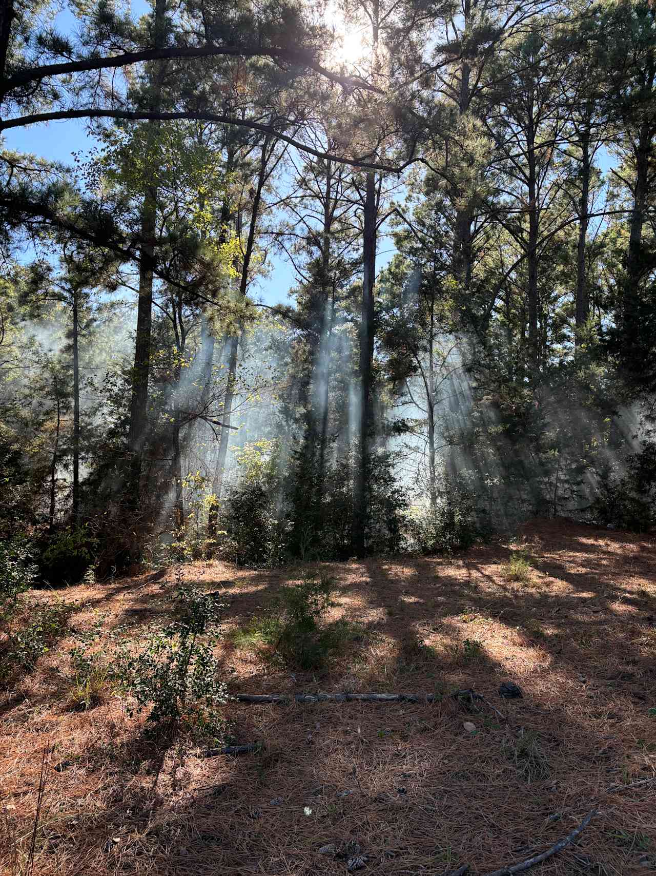 Alchemy Ranch