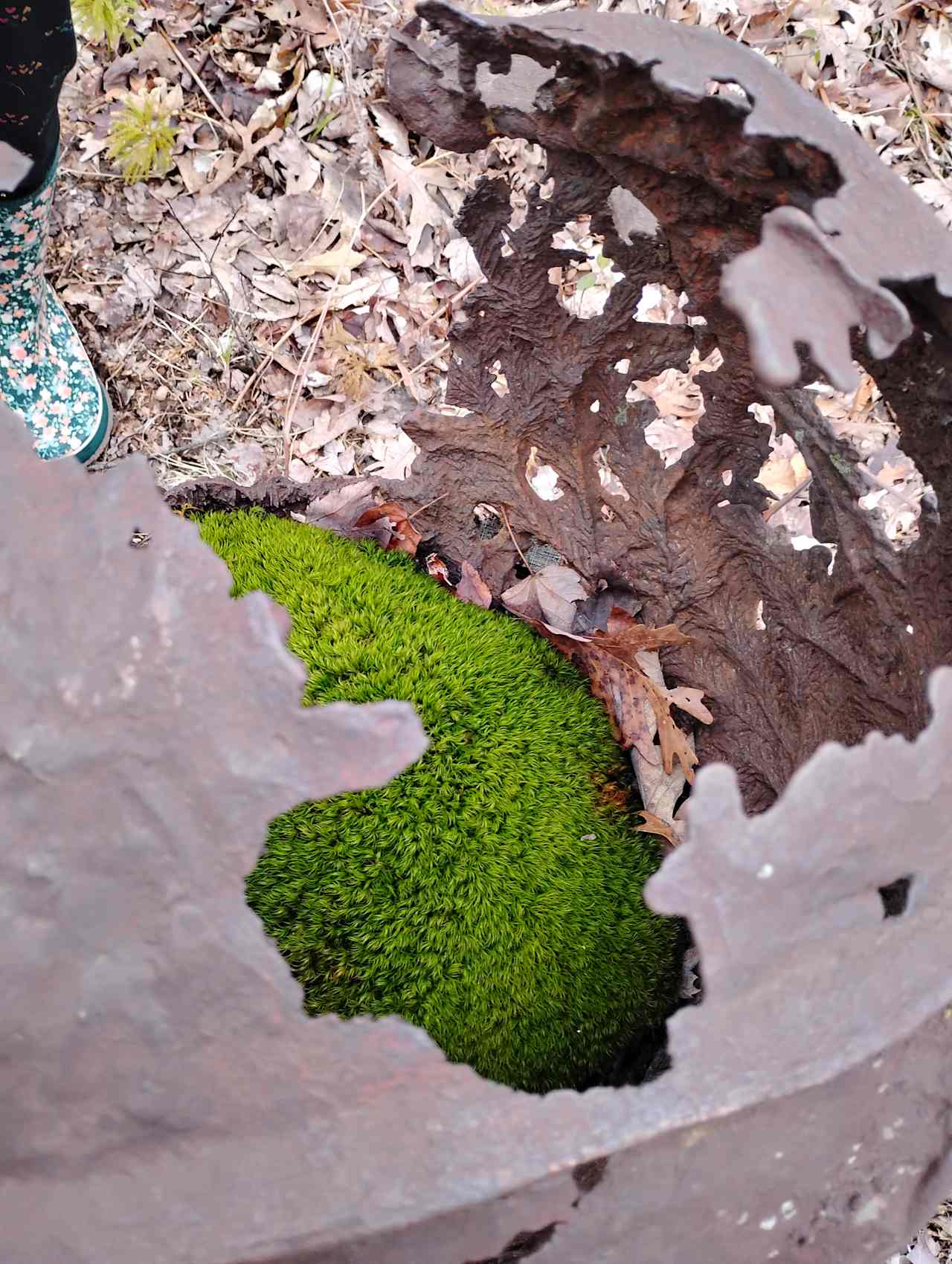 Moss in a sculpture 