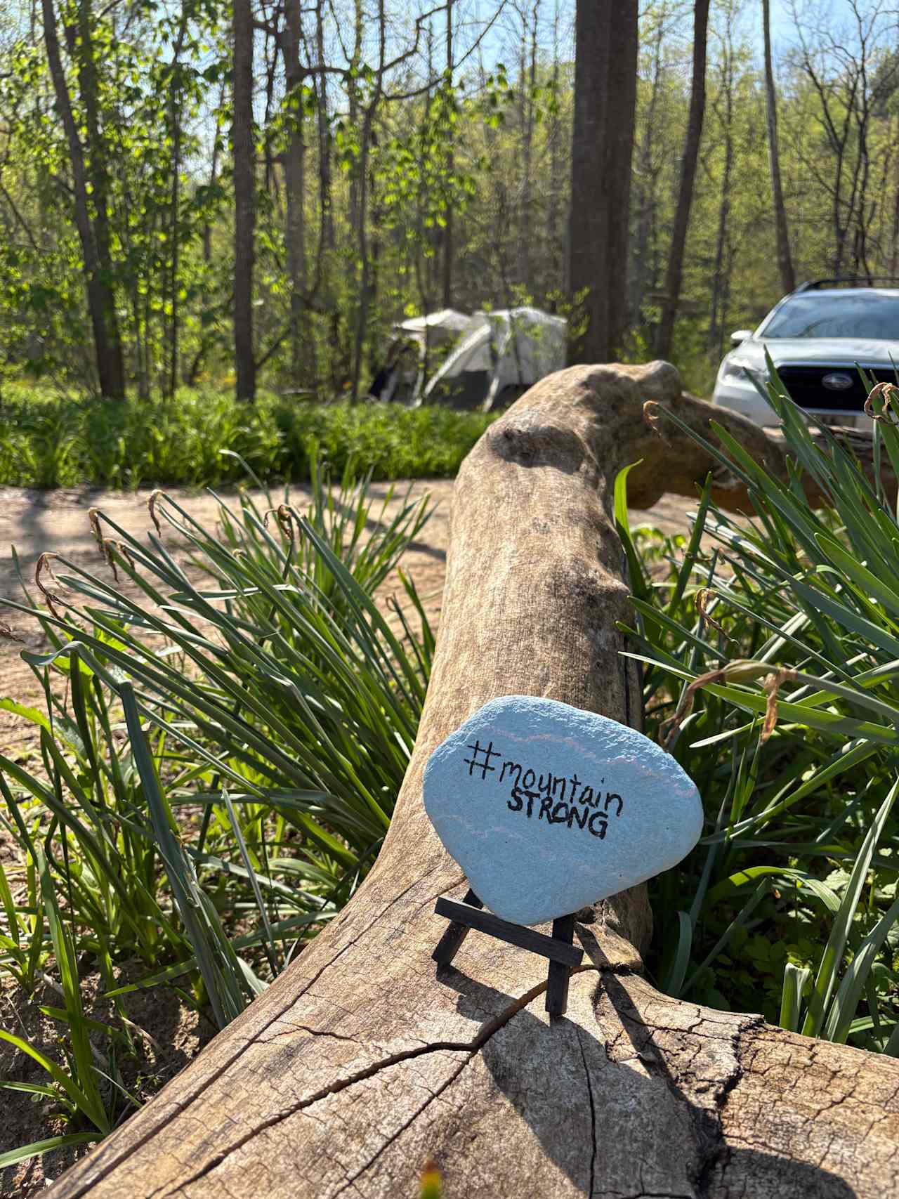 TangleWood Creekside Campsites