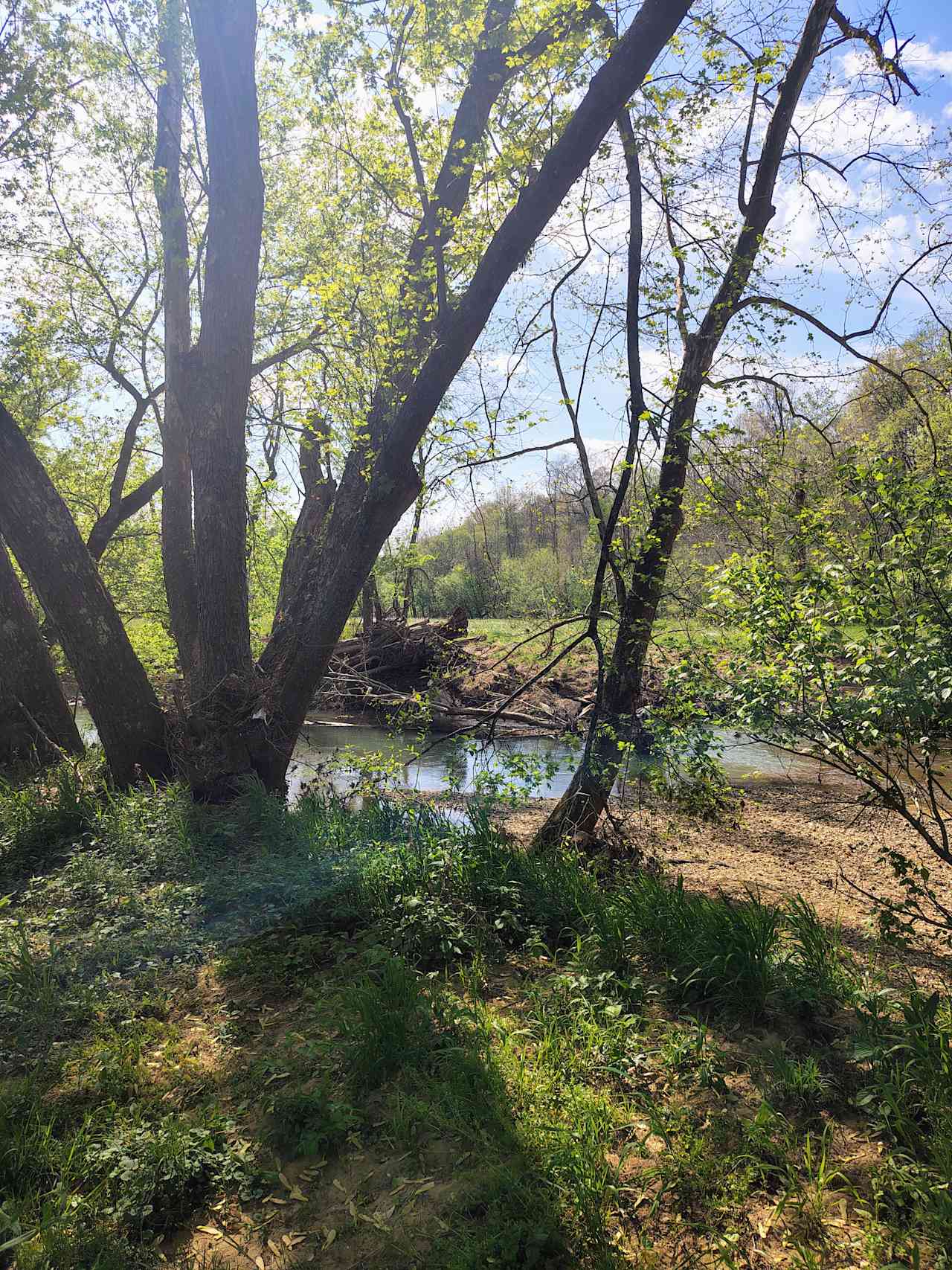 Twisted River