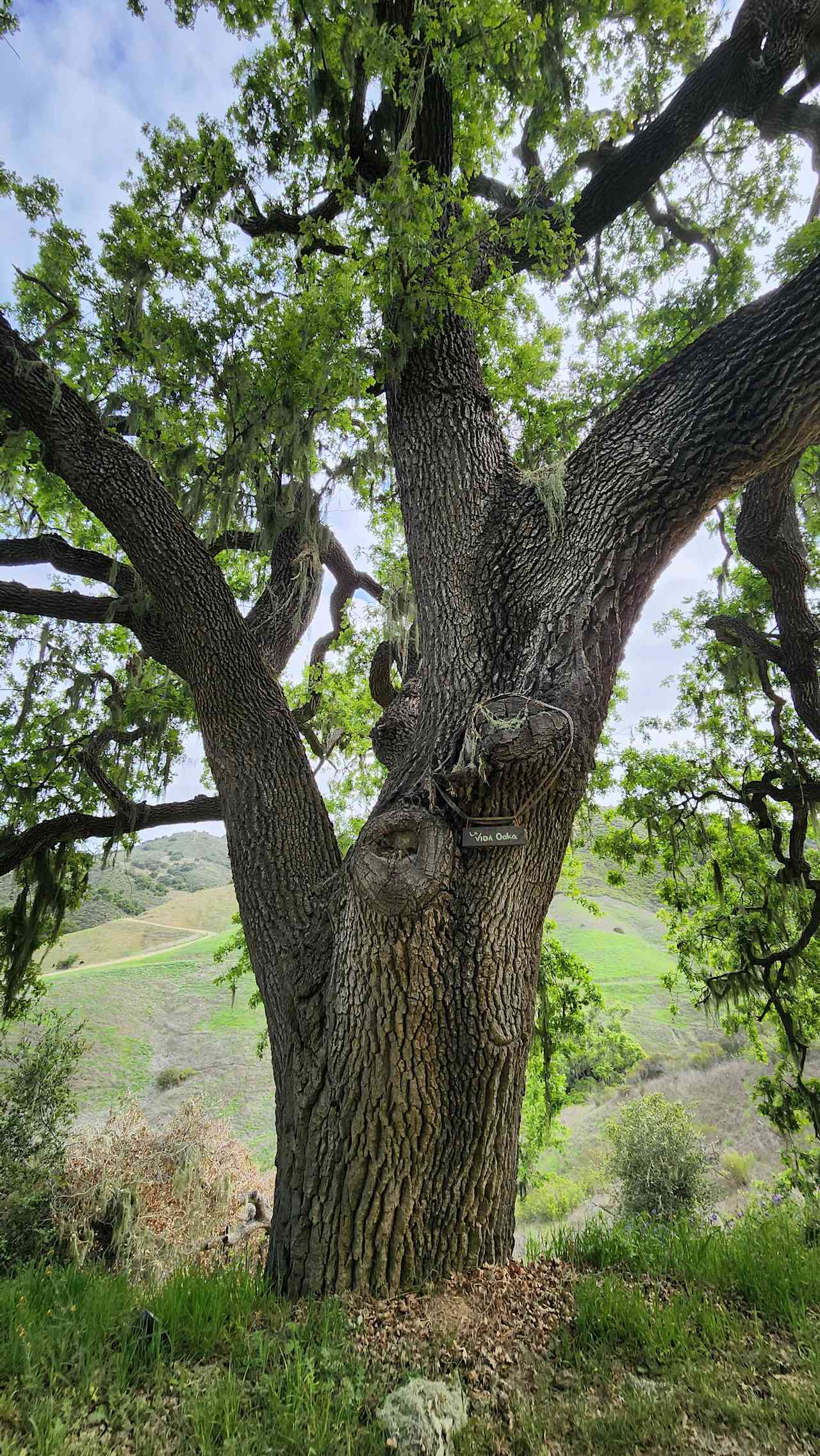 Freedog Farms @ Cactus Flower Ranch