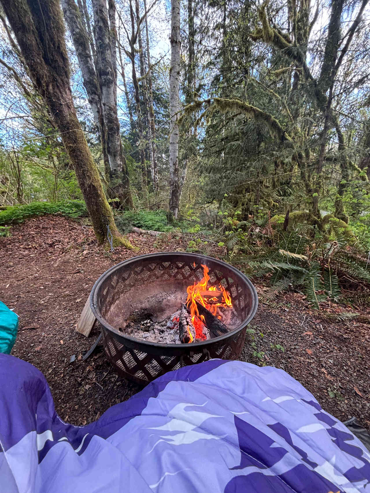 Camp Keyser Forest Camp