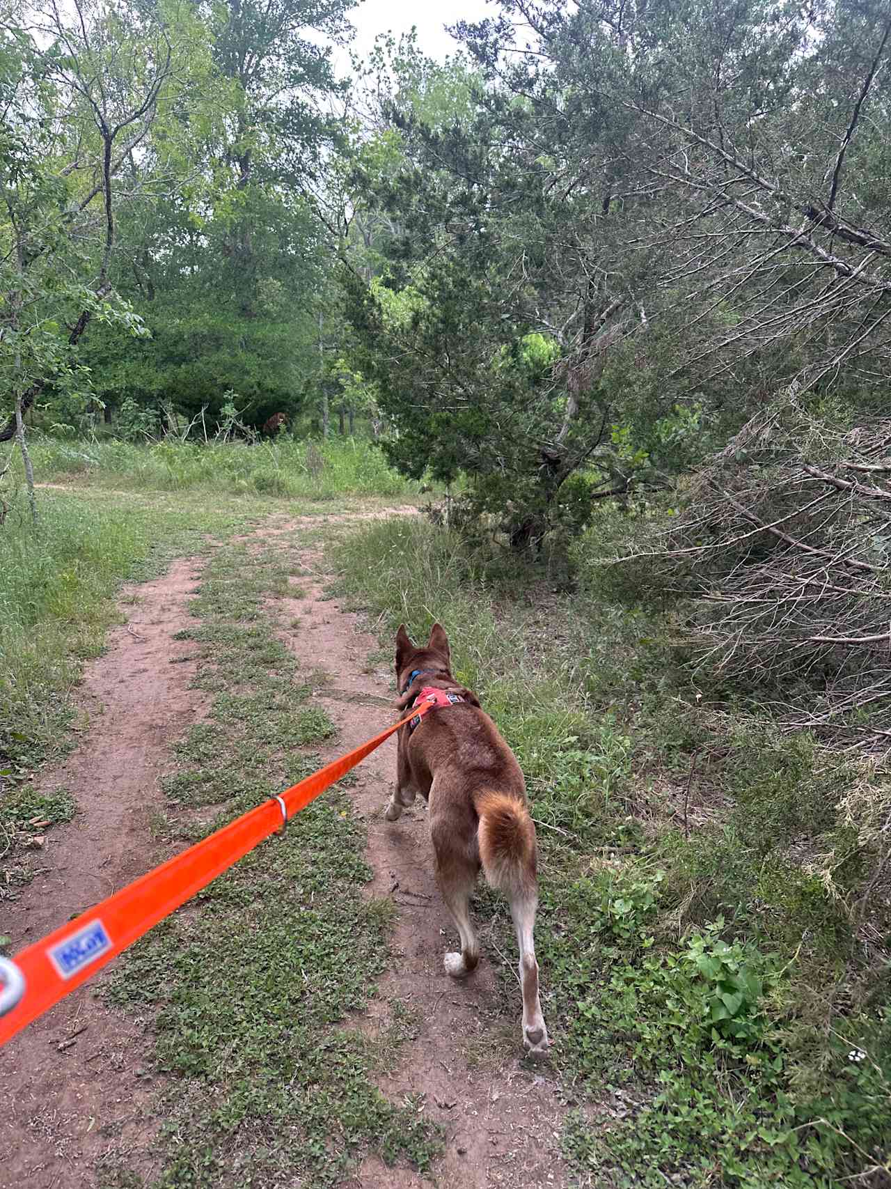 Trails on the property are perfect for an evening walk