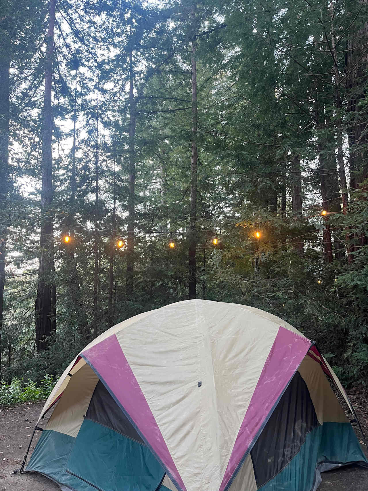 Fern Ridge Flats - Private Camping