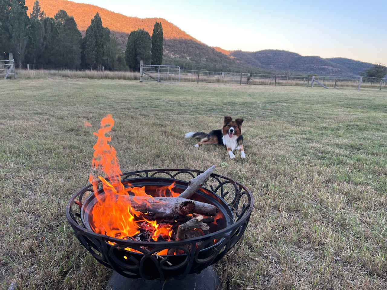 Valley View Farm, Hunter Valley
