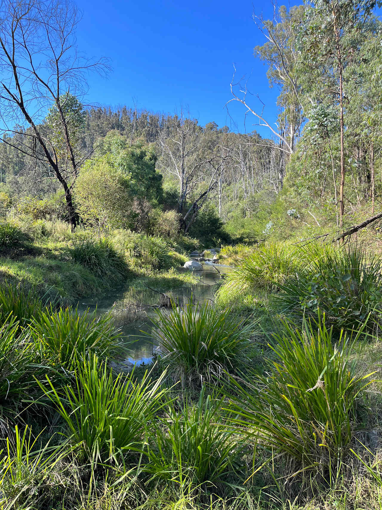 creek