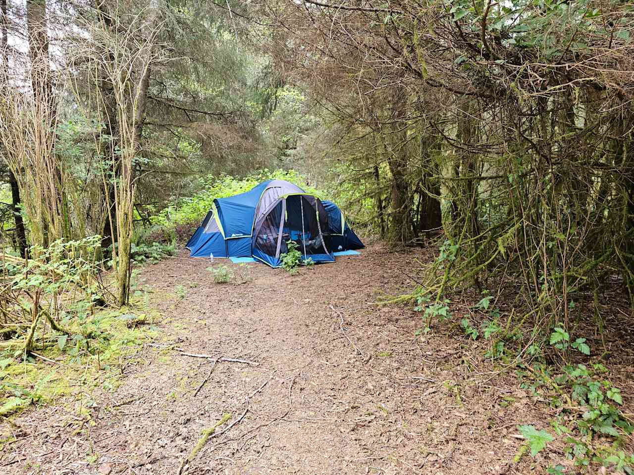 Mystic Forest Campground