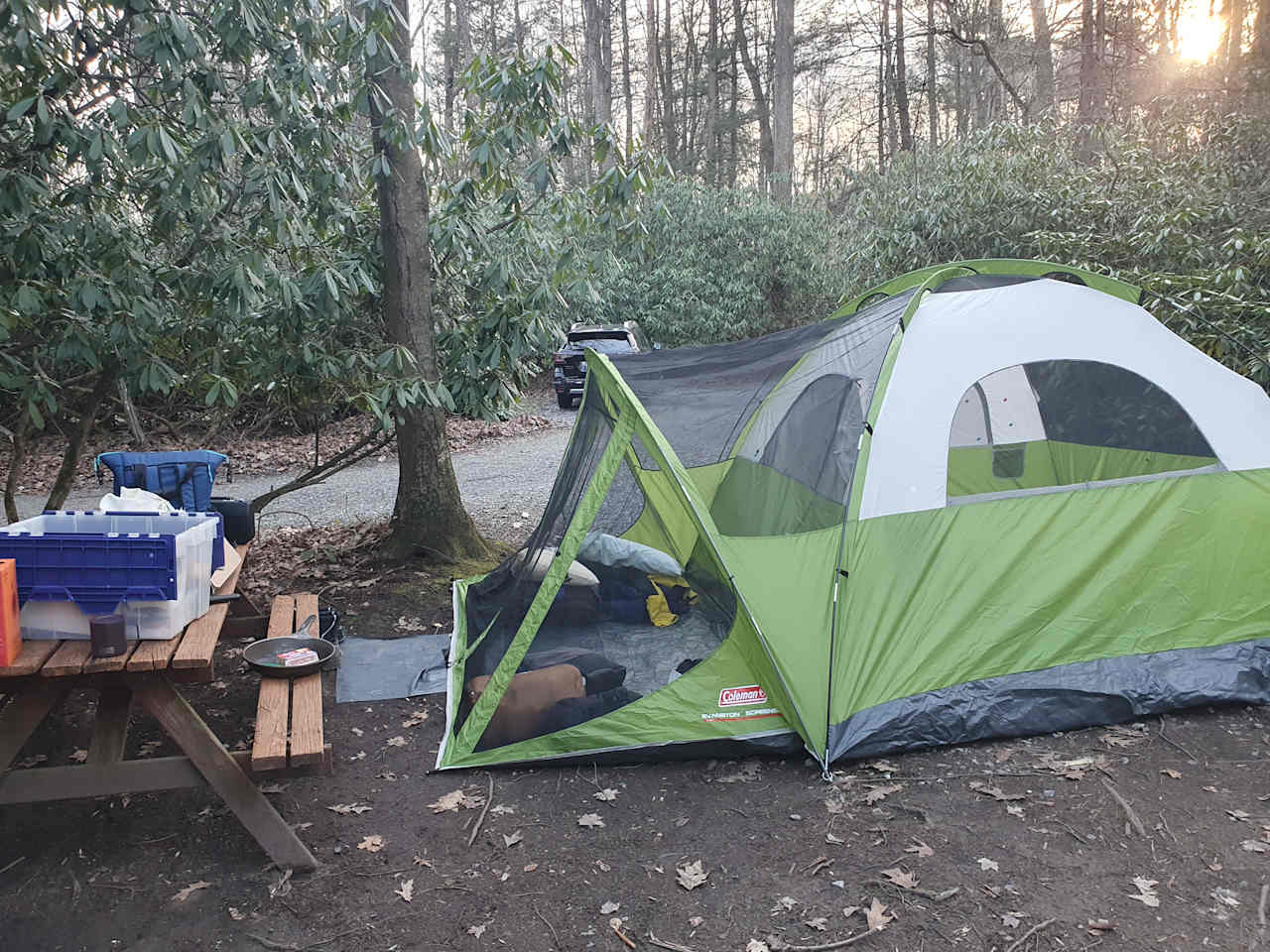 Bald Eagle Campsite