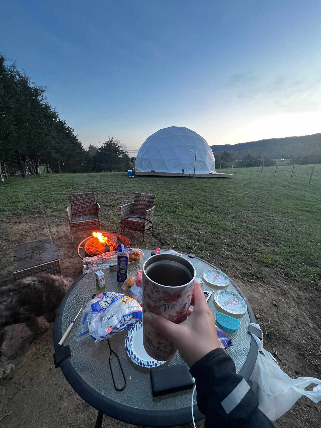 Our Farm in Strasburg, VA