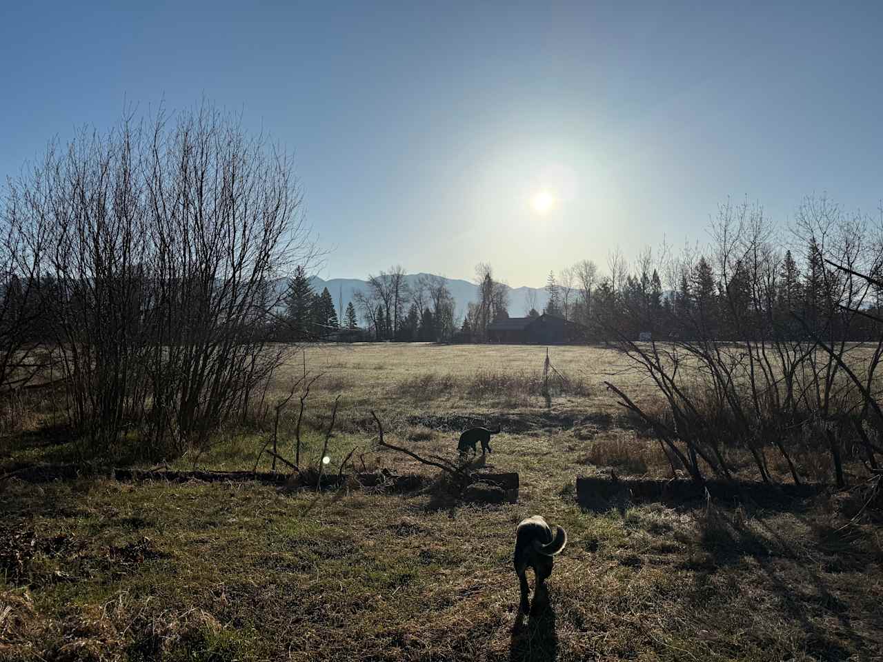 Swan Mountain View in the Valley