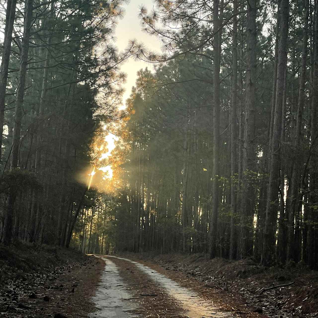 Camp, Mountain bike, Disc golf.