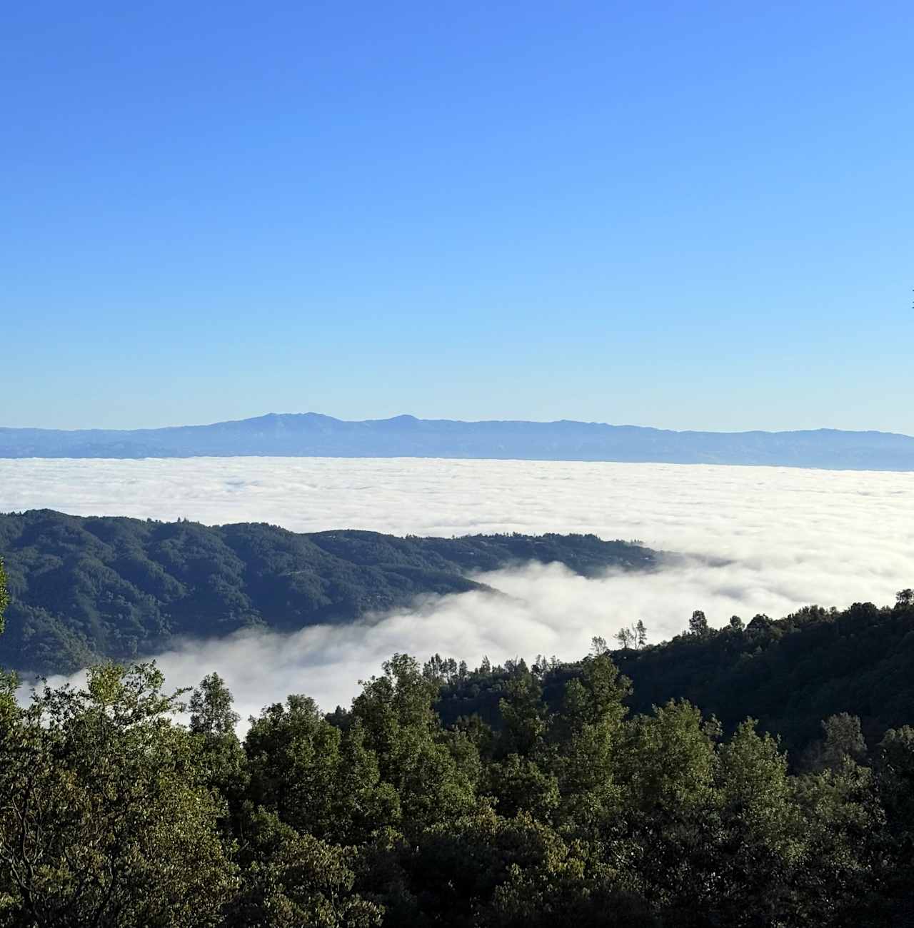 Above the clouds 