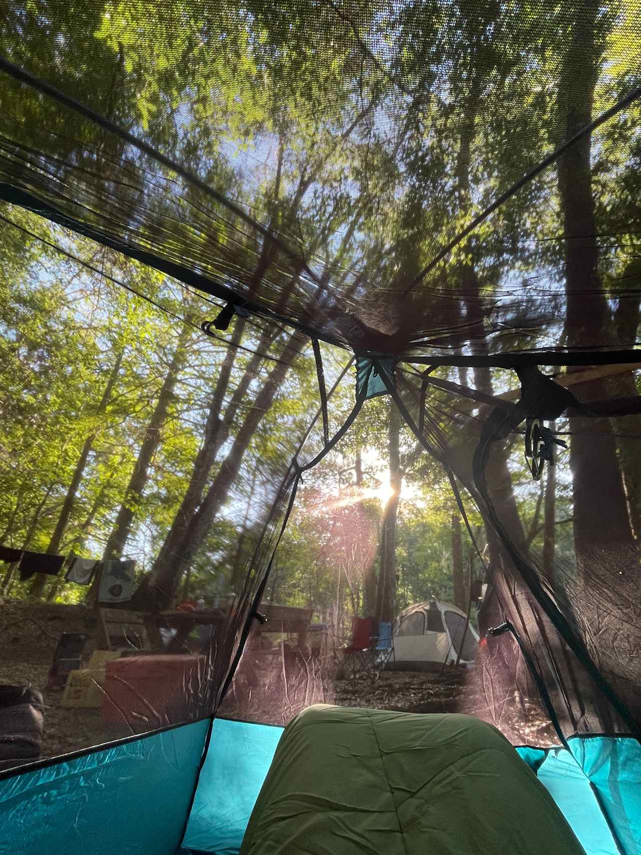 Primitive Island on Withlacoochee