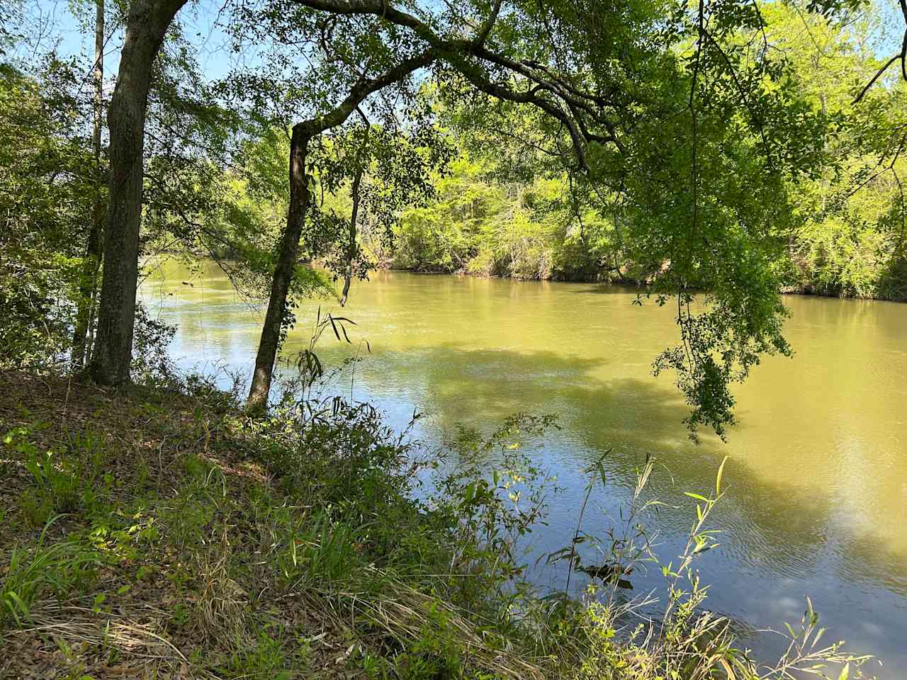 Serenity on the Saluda
